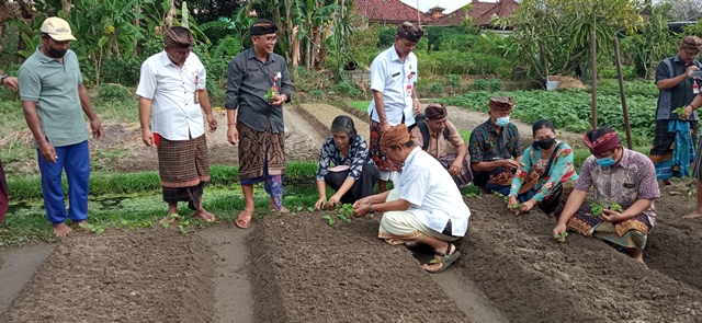 PKTD Ketahanan Pangan dan Hewani
