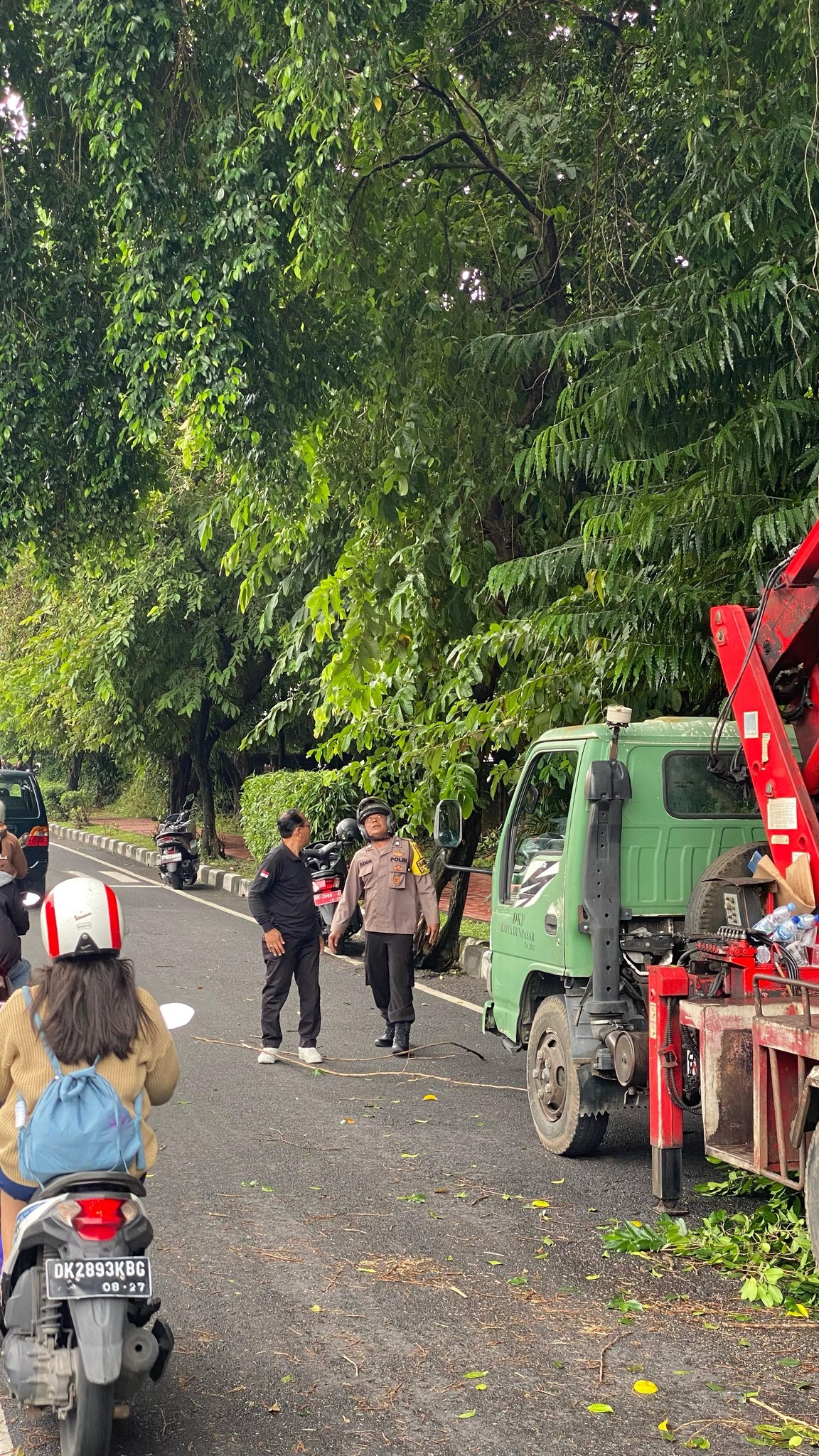 BAHAYAKAN PENGGUNA JALAN , JUMALI DESA DANGIN PURI KANGIN BERSAMA DLHK KOTA DENPASAR MELAKUKAN PEROMPESAN POHO