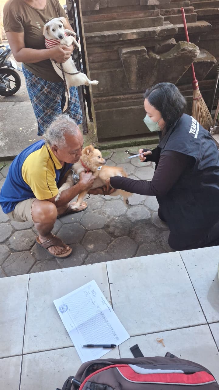 VAKSINASI RABIES UNTUK HEWAN PELIHARAAN DI LINGKUNGAN DESA DANGIN PURI KANGIN