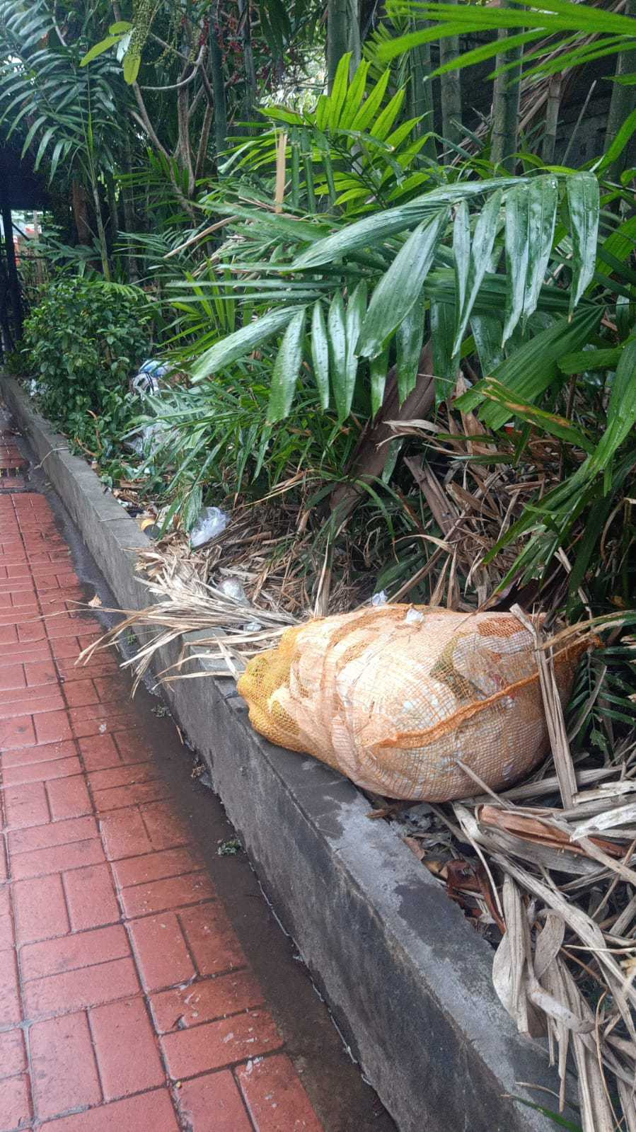 TINDAK LANJUTI ADUAN MASYARAKAT PADA APLIKASI PRO DENPASAR TERKAIT SAMPAH LIAR YANG BELUM TERANGKUT